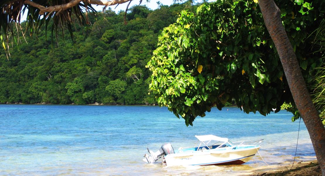 Kapa Island beach, Tonga SouthPacificRealEstate